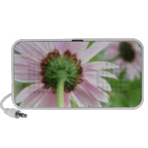 Pink Daisies - Front and Back PC Speakers