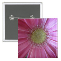 Pink Daisy Beauty buttons