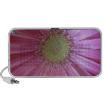 Pink Daisy Beauty Speaker System
