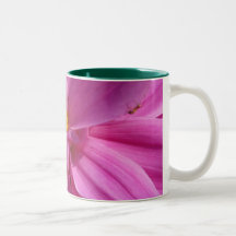 Pink Daisy Coffee Mugs