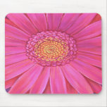 Pink Daisy Flower Painting - Mousepad