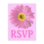 Pink Daisy Flower RSVP Or Custom Post Card