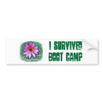 Pink Daisy I am a Survivor Bumper Stickers