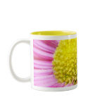 Pink Daisy Mugs