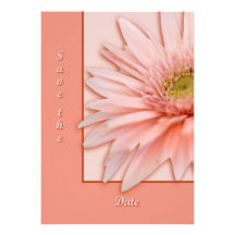 Pink Daisy Personalized Invitation