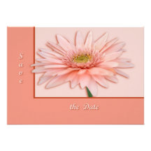 Pink Daisy Personalized Invitation