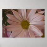 Pink Daisy Print