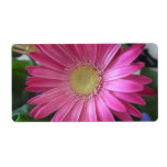 Pink Daisy Princess Shipping Label