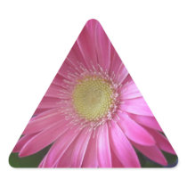 Pink Daisy Princess Triangle Stickers