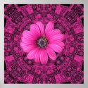 PINK DAISY PRINT