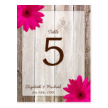Pink Daisy Rustic Barn Wood Wedding Table Number Post Card