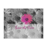 pink daisy save the date postcards