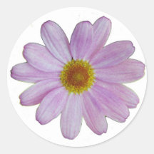 Pink Daisy Sticker