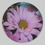 Pink Daisy Sticker stickers