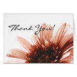 Pink Daisy Thank You Greeting Cards