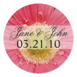 Pink Daisy Wedding Round Stickers