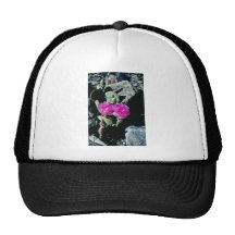 Pink Death Valley - Prickly Pear Cactus flowers Hats