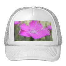 Pink Dianthus Bloom Hats
