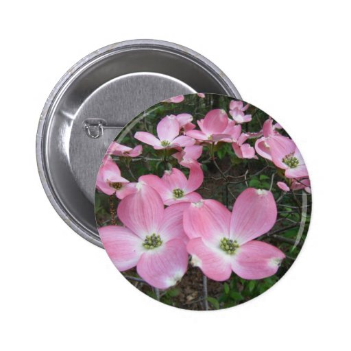 Pink Dogwood