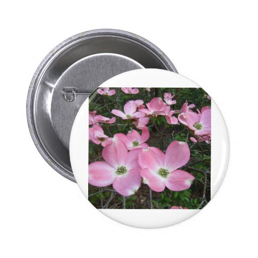 Pink Dogwood