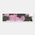 Pink Dogwood Bumper Stickers