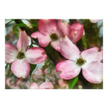 Pink Dogwood Closeup Custom Invitation