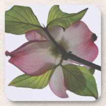 Pink Dogwood cork coaster