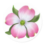 Pink Dogwood Flower Sticker