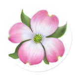 Pink Dogwood Flower Sticker
