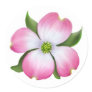Pink Dogwood Flower Sticker