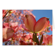 PINK DOGWOOD FLOWERS 4 Cards Art Gifts Mugs