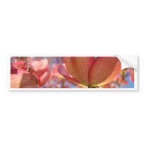 PINK DOGWOOD FLOWERS 4 Cards Art Gifts Mugs