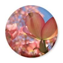 PINK DOGWOOD FLOWERS 4 Cards Art Gifts Mugs