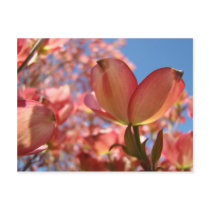 PINK DOGWOOD FLOWERS 4 Cards Art Gifts Mugs