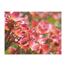 Pink Dogwood Flowers Canvas art prints Spring Canvas Prints
