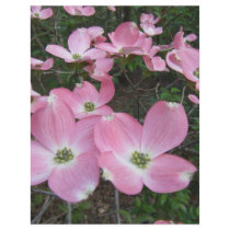 Pink Dogwood