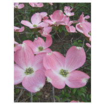 Pink Dogwood