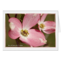 Pink Dogwoods Card