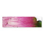 Pink Dream Bumper Sticker