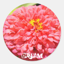 Pink Dream Sticker