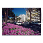 Pink Elegant Boulevard de Croisette, Cannes flower Greeting Card