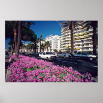 Pink Elegant Boulevard de Croisette, Cannes flower Posters