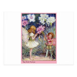 Pink Fairy Post Card