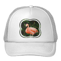Pink Flamingo  Baseball Hat