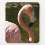 pink flamingo bird mousepads