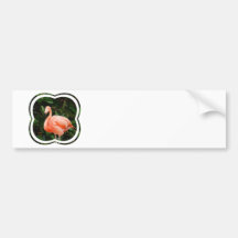 Pink Flamingo  Bumper Sticker