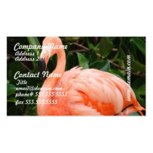 Pink Flamingo Business Cards
