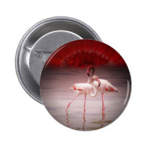 Pink Flamingo Dance