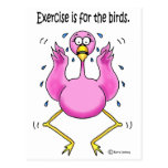 Pink Flamingo Funny Exercise is For the Birds Postcards