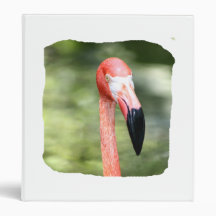 Pink flamingo head photograph green background binder